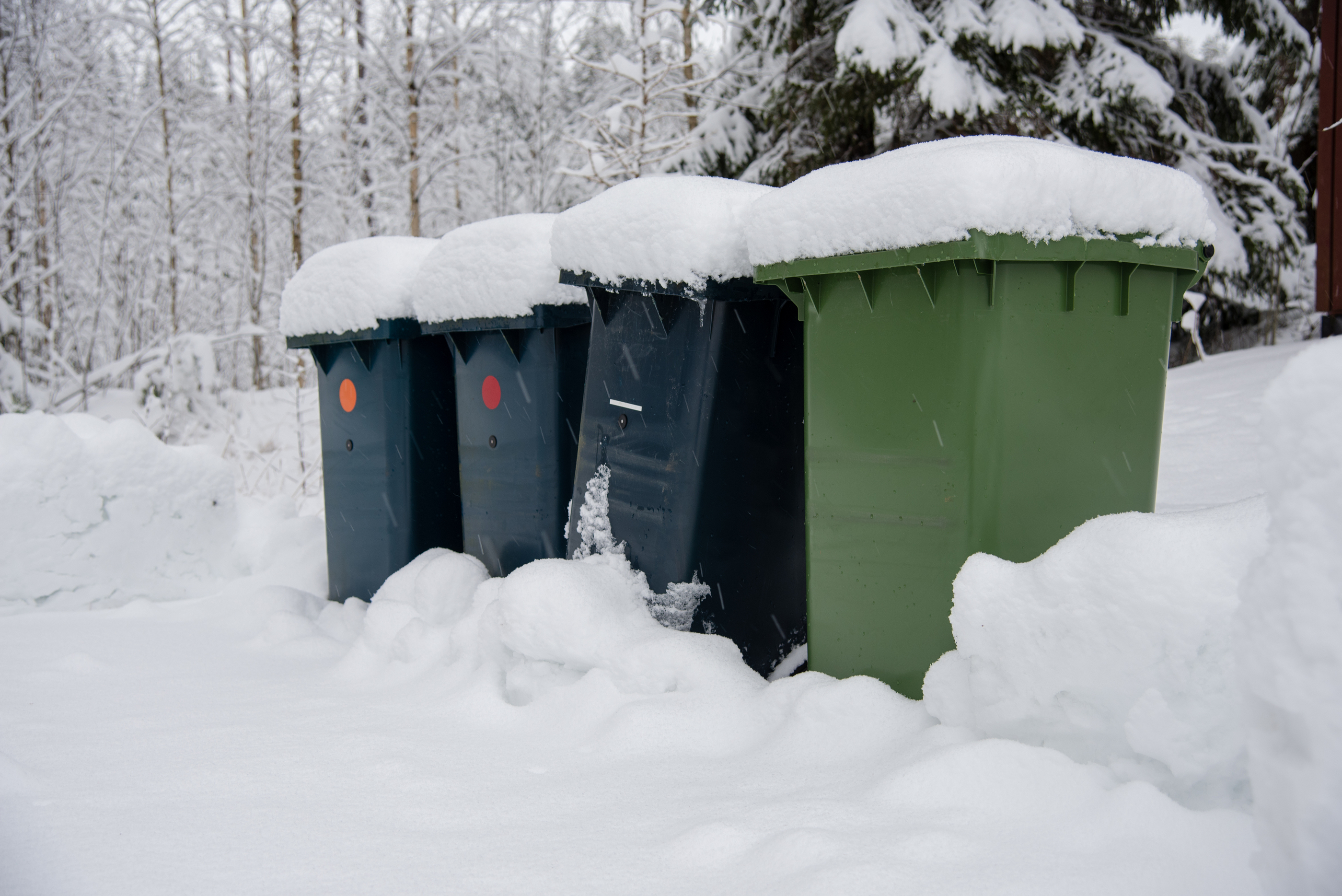 Trash Talk with our New Neighbors